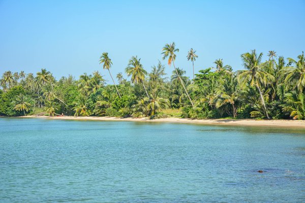 Sécurité en camping sauvage : éviter les rencontres avec la faune sauvage